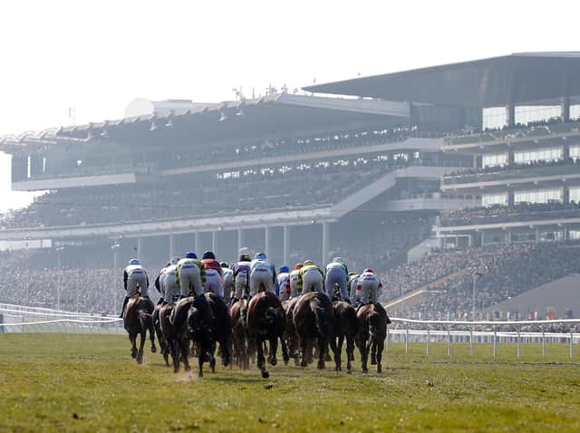 All roads lead to Cheltenham next month