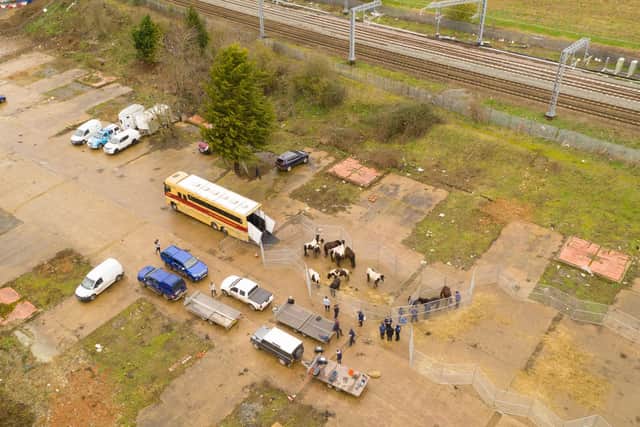 43 horses were rescued. Credit: World Horse Welfare