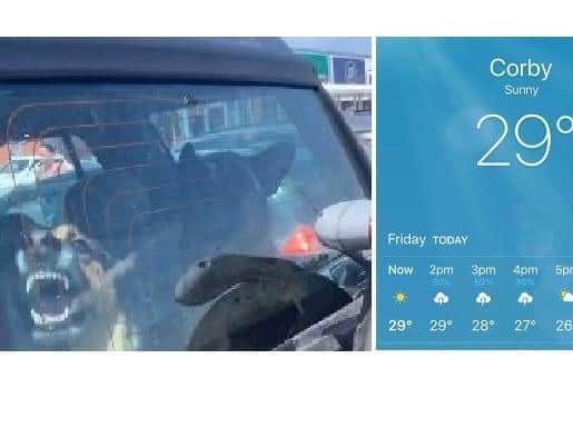 The dogs were left in this car on the second hottest day of the year