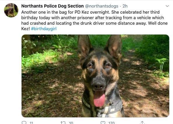Northants Police Dog Section celebrated Kez's birthday and catch on Twitter