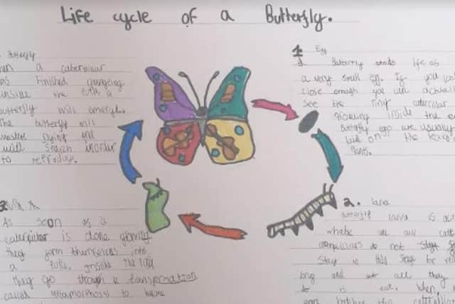 Children produced posters on different subjects