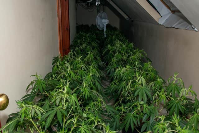 Inside the Ringstead drug factory. Picture: Northants Police.