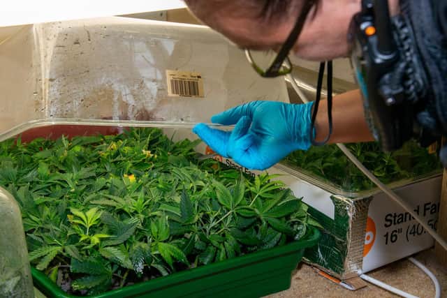 Inside the Ringstead drug factory. Picture: Northants Police.