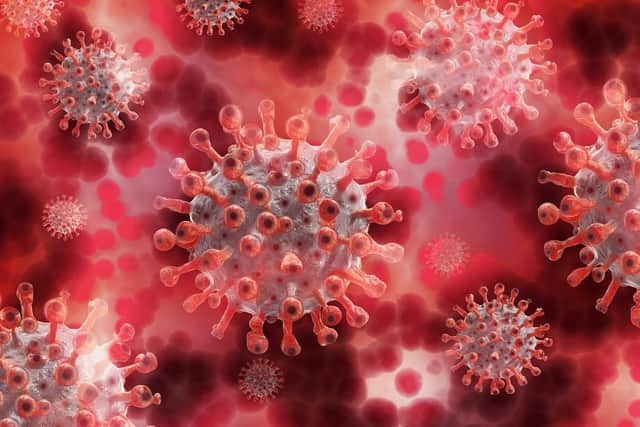 The board has been set up to foster public engagement around the local virus response.