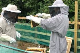 Charlie Hancock and Kieron Brace, Chartered Financial Planners at Telford Mann Pensions & Investments, tending to the hives.