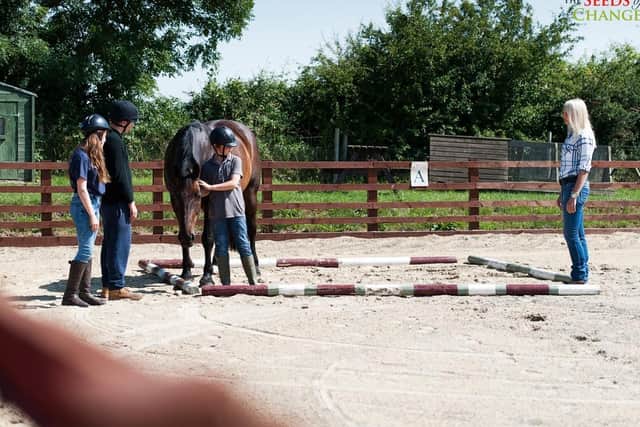 Working with horses helps the young people deal with other issues they may have