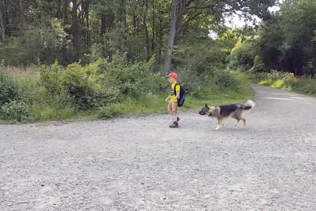 Caeden training with dog Tesha