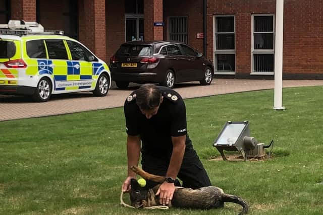 The playful pup puts his best paw forward for Chief Constable Nick Adderley