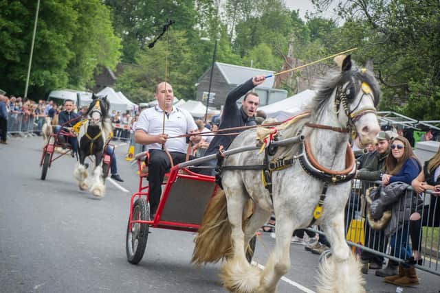Library photo of Wickham Horse Fair 2019