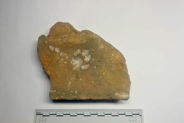 A tile fragment with a complete vitrified cat print  high heat exposure caused the vitrified effect