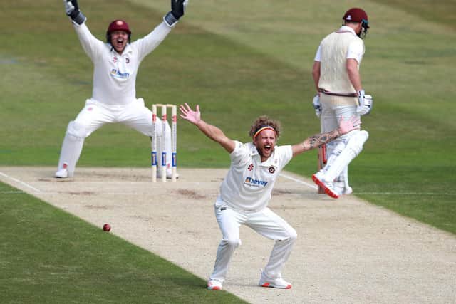 Gareth Berg grabbed four wickets in Somerset's second innings