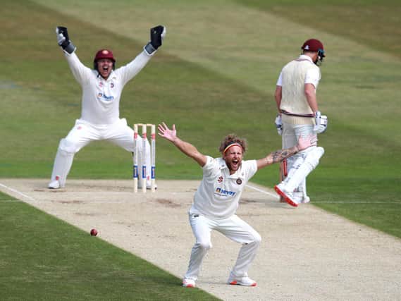 Gareth Berg grabbed four wickets in Somerset's second innings