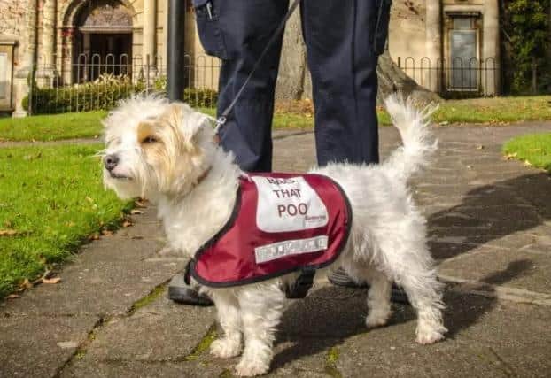 Rules for the control of dogs in public spaces will continue in Kettering after a council review.