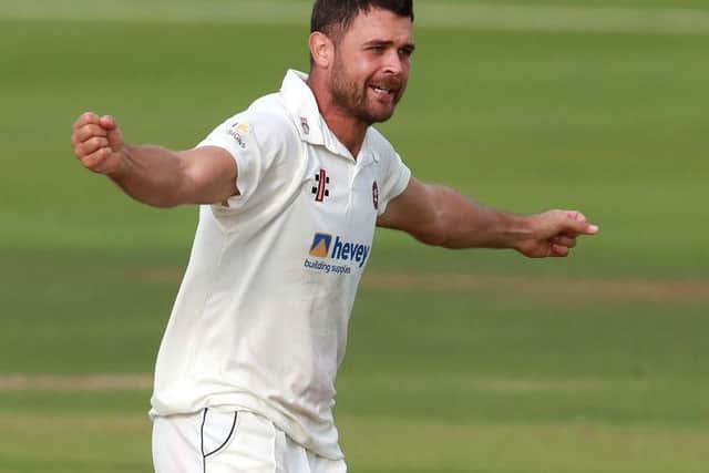 Nathan Buck celebrates claiming the wicket of Brett D'Oliveira