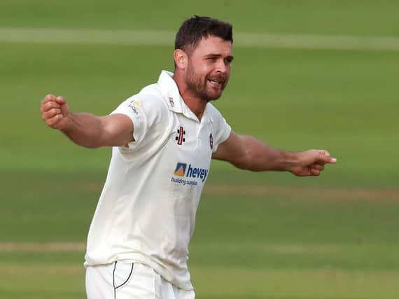 Nathan Buck celebrates claiming the wicket of Brett D'Oliveira