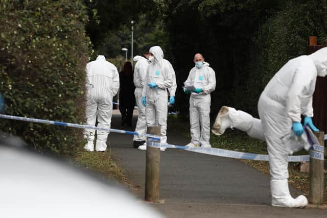 Forensics team work in the alleyway between Windmill Avenue and Ise Road