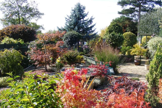 This Desborough garden will be open to the public in September