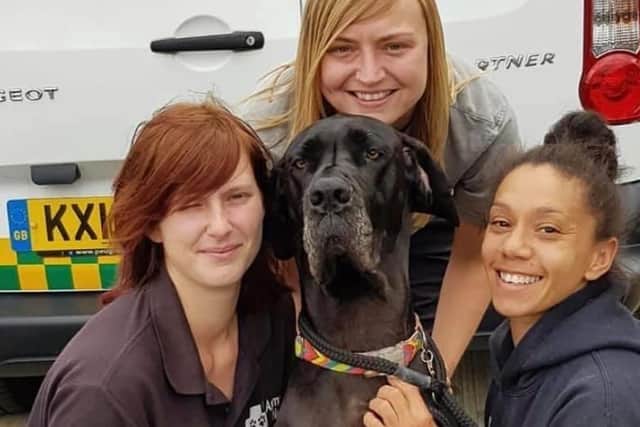 Kate, Laura and Beki will be sleeping in the kennels with the dogs they look after at Animals In Need in Little Irchester