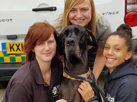 Kate, Laura and Beki will be sleeping in the kennels with the dogs they look after at Animals In Need in Little Irchester