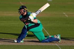 Ireland international Paul Stirling is in line to make his Northants Steelbacks debut on Thursday
