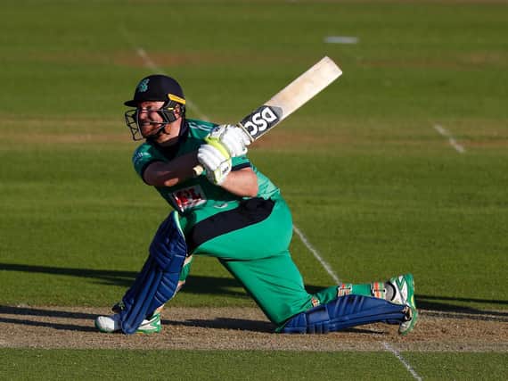 Ireland international Paul Stirling is in line to make his Northants Steelbacks debut on Thursday