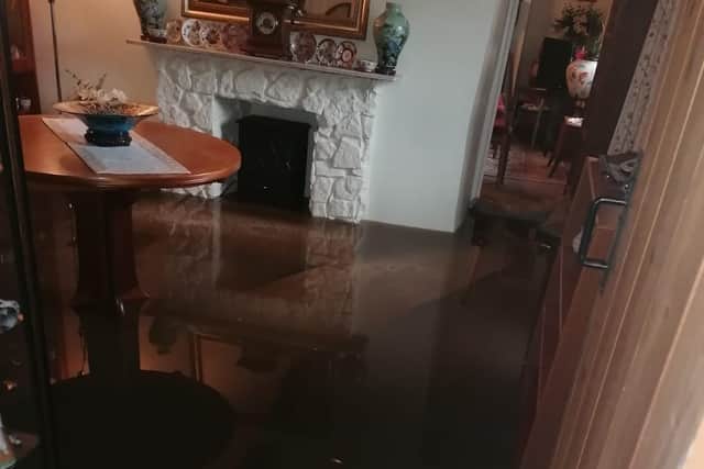 Standing water in Ms Thorne's grandma's living room