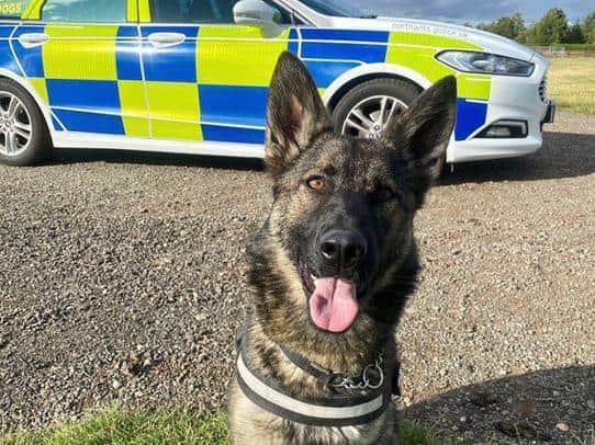 PD Ebby made short work of catching fleeing suspects who failed to stop for officers
