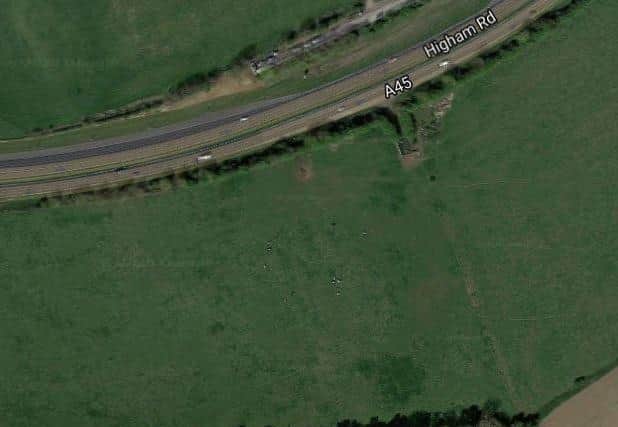The site where the foal has been found
