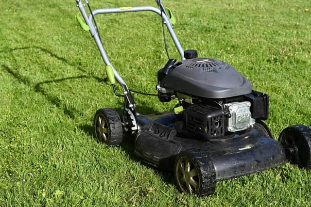 The teenagers offered to cut the victim's grass.