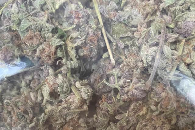 Some of the seized drugs