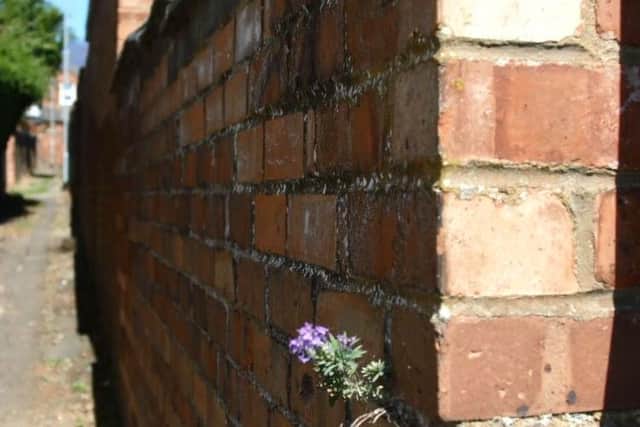 One of the alleyways