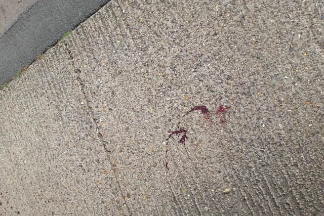 A trail of blood remains across Station Road and into Glebe Road this morning.