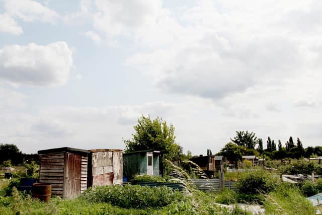 The council will take over responsibility for allotments. (Margaret Road allotments pictured).