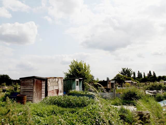 The council will take over responsibility for allotments. (Margaret Road allotments pictured).