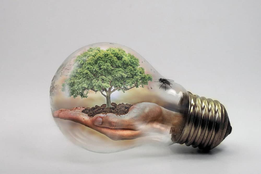 A draft climate strategy is being compiled.