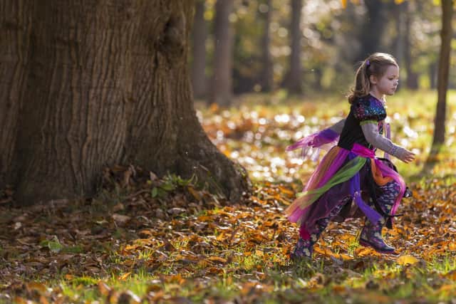 Get out and about with lots of space and fresh air this October half term at Canons Ashby in Daventry.