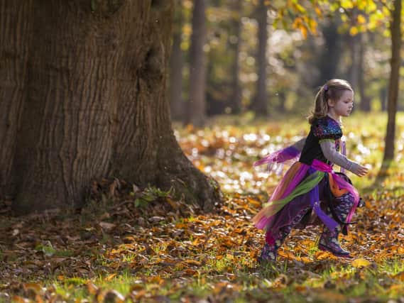 Get out and about with lots of space and fresh air this October half term at Canons Ashby in Daventry.