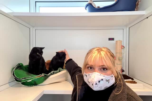 Lucy Marheineke from Kings Lynn has rehomed Leon and Nikita from the RSPCA Northamptonshire
