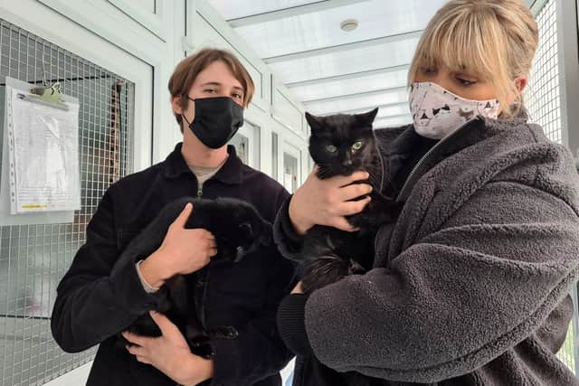 Lucy Marheineke and her partner, Ciaran, with Leon and Nikita from the RSPCA Northamptonshire