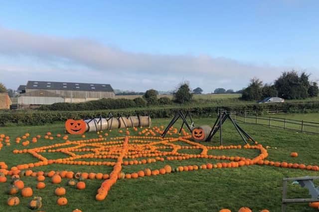 The team at Smith's Farm shop put together a 'spooktacular' spider display for pumpkin pickers ahead of Halloween this year.