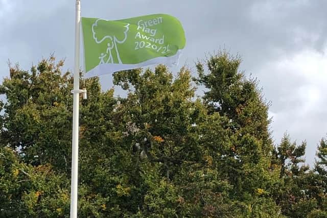 The Green Flag