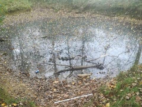 The pond where the dog was found