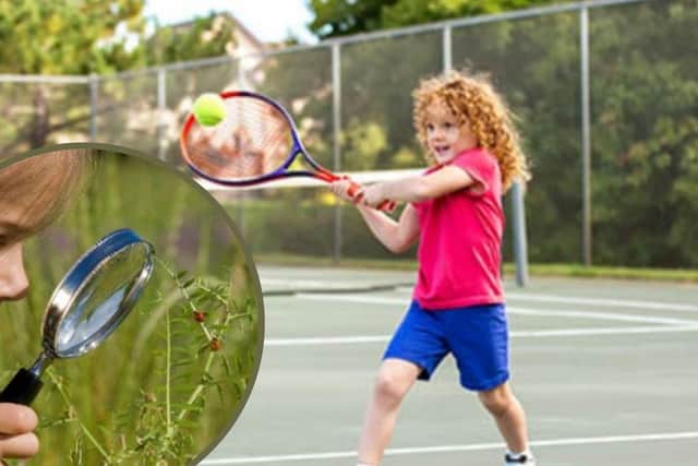 There are a huge range of activities on offer at CSD