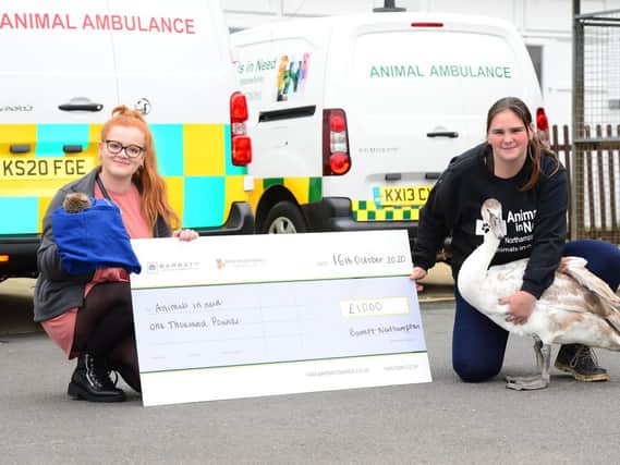 Amy Gray (Barratt Homes) and Emma Townsend (Animals in Need) with a hedgehog, swan and giant cheque