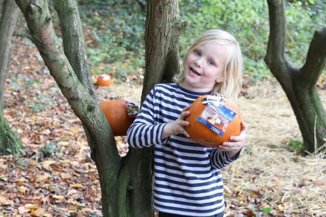 Hunter Warren, five, with a pumpkin at the pop-up patch