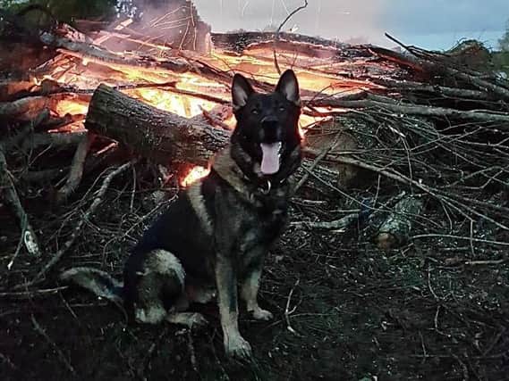PD Boycie was deployed with armed police officers to Burton Latimer last night (October 29) in response to a report of two boys, 15 and 16, with a 'handgun'.