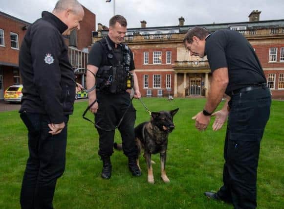 Each police dog was issued with a unique collar, warrant card and a personalised dog bisuit.