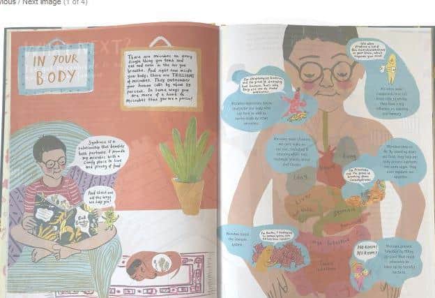 The illustrations