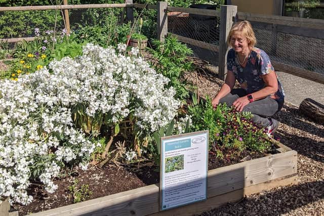Nene Valley Star winner Hilary Merricks