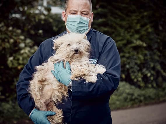 The RSPCA is asking for the public's support and donations ahead of what they believe is going to be the toughest Christmas yet.